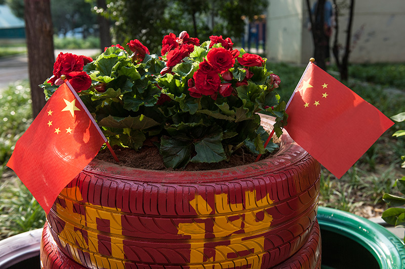 8职工生涯区一路俏丽的景致线（邢矿集团生涯分公司，王佳）.jpg